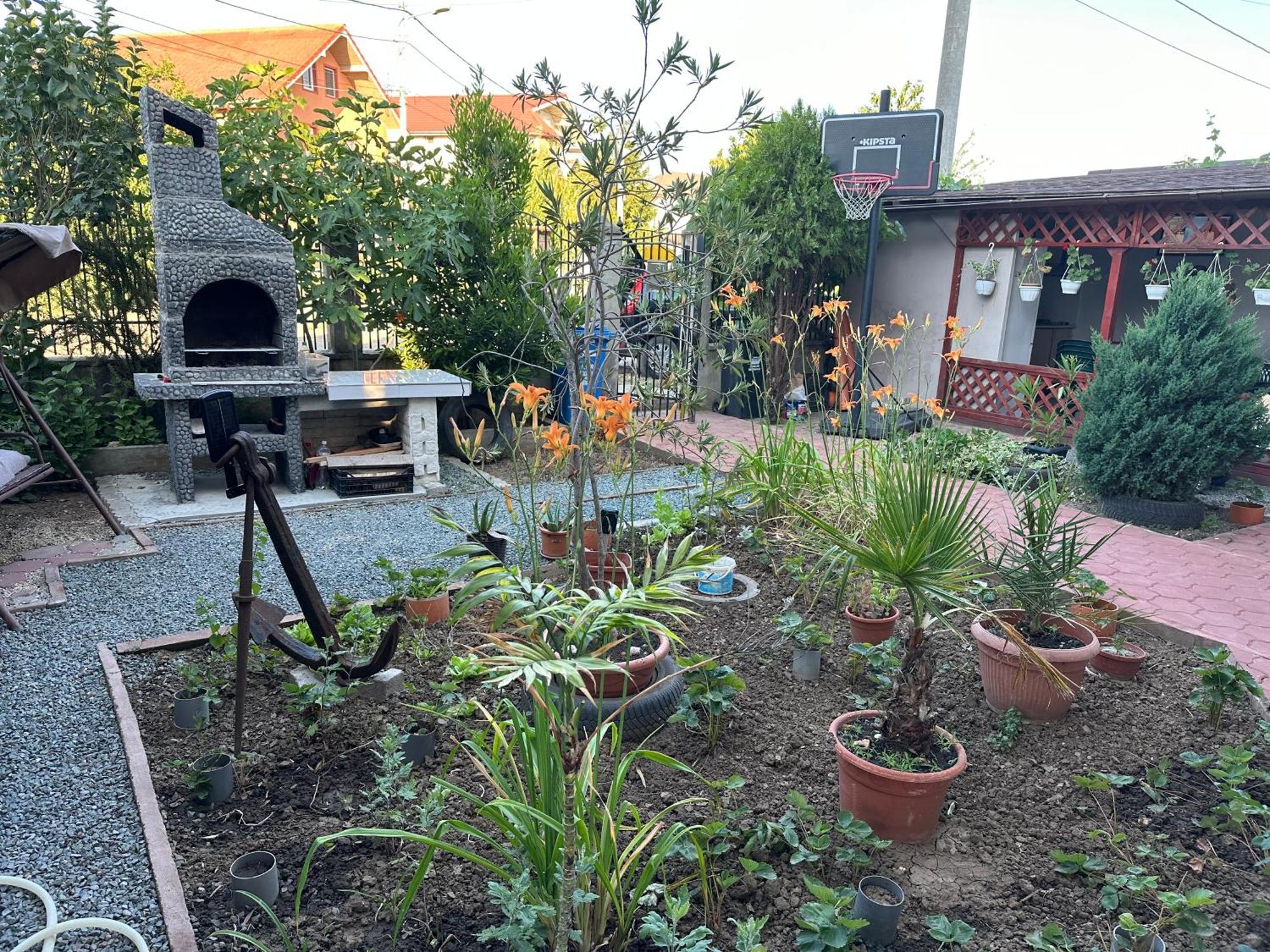 데포리노드 Casa Vio Parter 아파트 외부 사진